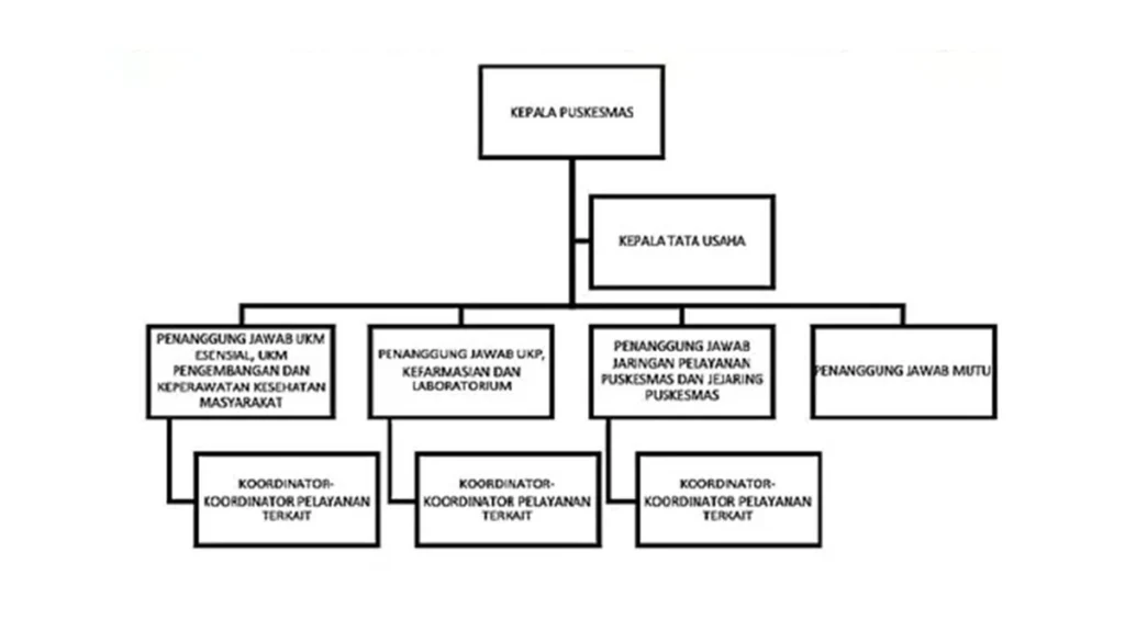 Struktur Organisasi Puskesmas Terbaru SK Permenkes 2024